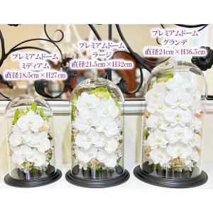プリザーブドフラワー 仏花 胡蝶蘭 ガラスドー...の詳細画像2
