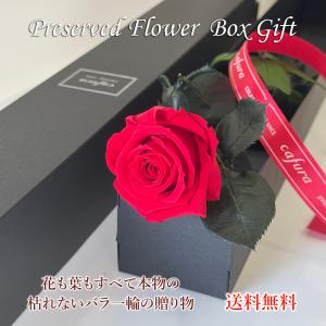 母の日 プリザーブドフラワー ボックス 一輪のバラ 一本バラ 花 記念日 誕生日 プレゼント プロポーズ お祝い 彼女 妻 ギフト｜cafura