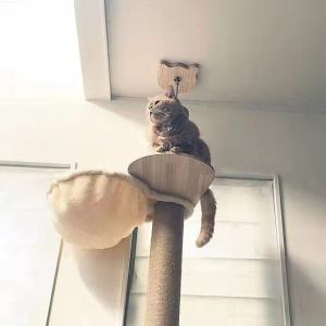 登りタワー 替えハンモック 耐荷重UP 拡張パーツ