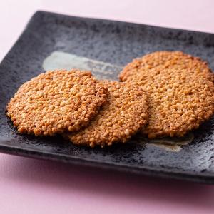 諏訪湖手長えびせんべい 14枚入 ☆賞味期限2025年8月12日【日付指定不可】