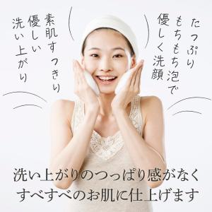 ひのき泥炭石 洗顔フォーム 120g ひのきピ...の詳細画像2
