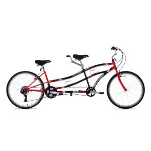 補助自転車 ポタリング 20インチ ケント ウィライド コパイロット