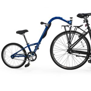 補助自転車 ポタリング 20インチ ケント ウィライド コパイロット