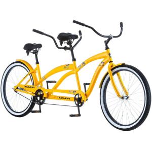 補助自転車 ポタリング 20インチ ケント ウィライド コパイロット