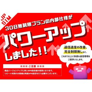 プリペイドSIMカード JPSIM AIR 3...の詳細画像3
