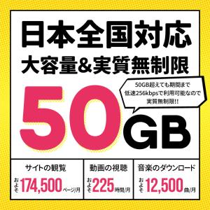 プリペイドSIMカード 180日50GBプラン...の詳細画像2