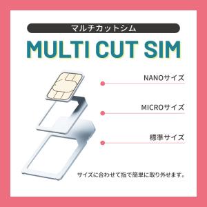 CALENDAR SIMカード 365日20G...の詳細画像4