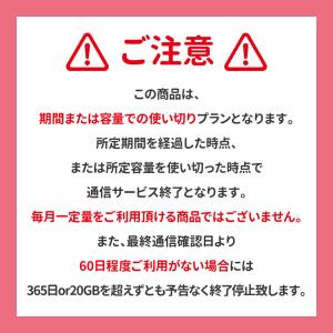 CALENDAR SIMカード 365日20G...の詳細画像5