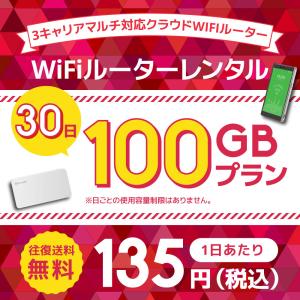 WiFiレンタル クラウドWIFIルーター 30日100GB レンタルプラン