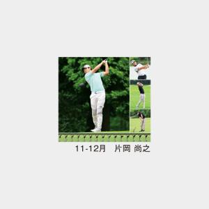 名入れカレンダー 2027 壁掛けMH-11 ...の詳細画像4