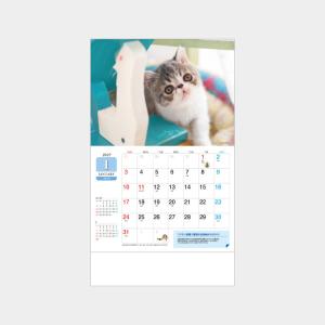 名入れカレンダー 2027 壁掛け SA-222...の商品画像
