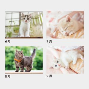 名入れカレンダー 2027 壁掛け SA-22...の詳細画像3