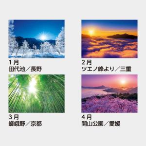 名入れカレンダー 2027 壁掛け SB-02...の詳細画像2