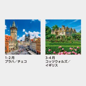 名入れカレンダー 2027 壁掛け SB-26...の詳細画像2