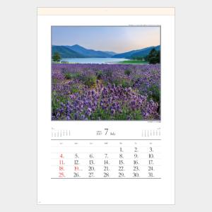 名入れカレンダー 2027 壁掛け SG-456 四季十二彩 100冊