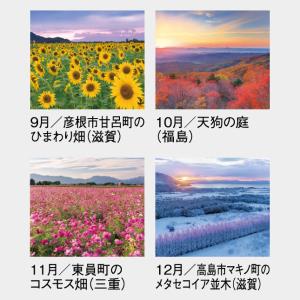 名入れカレンダー 2027 壁掛け SG-45...の詳細画像4