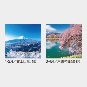 名入れカレンダー 2027 壁掛け SG-50...の詳細画像2