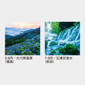 名入れカレンダー 2027 壁掛け SG-50...の詳細画像3