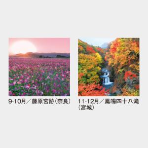 名入れカレンダー 2027 壁掛け SG-50...の詳細画像4