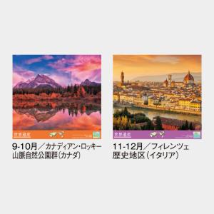 名入れカレンダー 2027 壁掛け SG-50...の詳細画像4