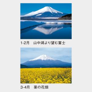 名入れカレンダー 2027 壁掛け SP-18...の詳細画像2