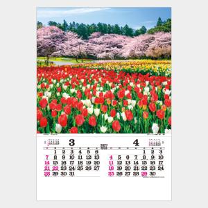 名入れカレンダー 2027 壁掛け TD-501 トーハン・ＤＸ　日本　フイルム 100冊