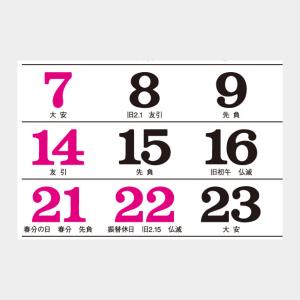 名入れカレンダー 2027 壁掛け TD-50...の詳細画像5