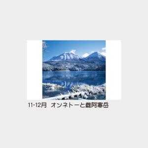 名入れカレンダー 2027 壁掛け TD-50...の詳細画像4