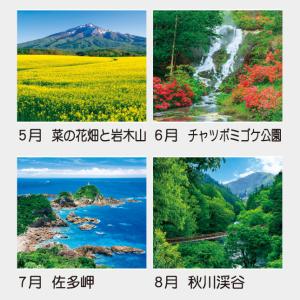 名入れカレンダー 2027 壁掛け TD-63...の詳細画像3