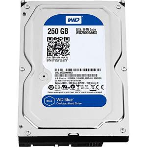 16?MBキャッシュSATA 7200?RPM Digital Western Caviarブルー250?GB