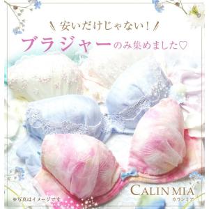 3枚セットブラジャー 単品 B〜F 3枚 福袋...の詳細画像1