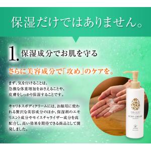 ポイント15倍 送料無料 キャリネス「天使のた...の詳細画像3