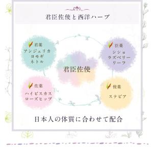 産婦人科医監修 PREMATERNITY BL...の詳細画像2