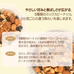 3種の味わいピーナッツ入り5種ミックス 500...の詳細画像3