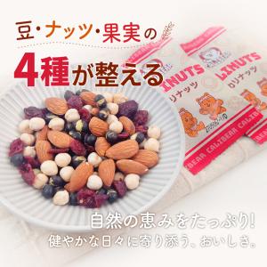 栄養バランス4種ミックス 1kg(20g×50...の詳細画像4