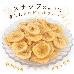 バナナチップス 500g ココナッツオイル使用...の詳細画像3
