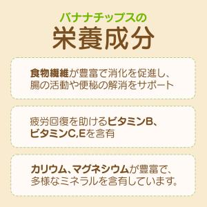 バナナチップス 500g ココナッツオイル使用...の詳細画像5