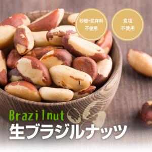 生ブラジルナッツ 500g アマゾンの恵み 産...の詳細画像1