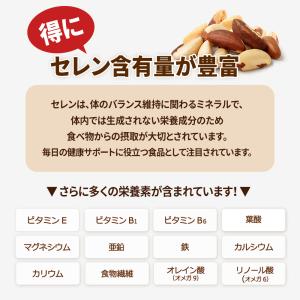 生ブラジルナッツ 500g アマゾンの恵み 産...の詳細画像4