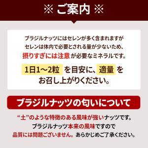 生ブラジルナッツ 500g アマゾンの恵み 産...の詳細画像5