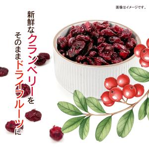 ドライクランベリー 1kg アメリカ産地直輸入...の詳細画像4