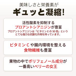 ドライクランベリー 1kg アメリカ産地直輸入...の詳細画像5