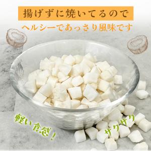 ローストココナッツチャンク 500g 便利なチ...の詳細画像3