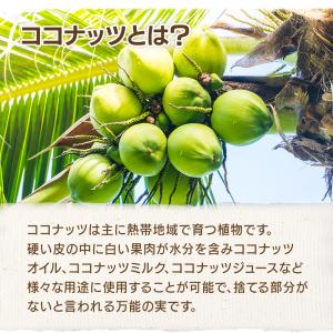 ローストココナッツチャンク 500g 便利なチ...の詳細画像4
