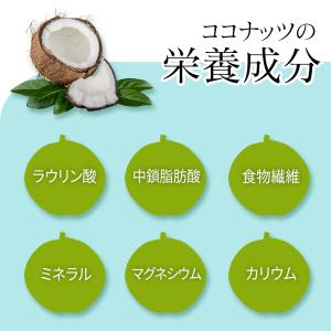 ローストココナッツチャンク 500g 便利なチ...の詳細画像5