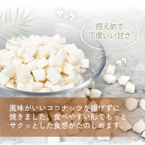 ココミックス オリジナル 1kg(25g×40...の詳細画像5
