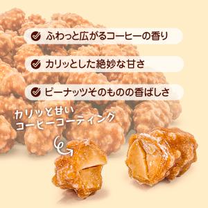 コーヒーピーナッツ 300g カリポリ食感 程...の詳細画像5