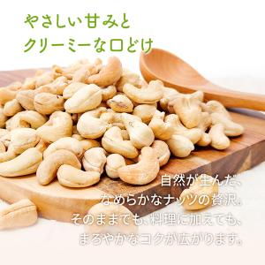 カシューナッツ 1kg 産地直輸入 ロースト ...の詳細画像5