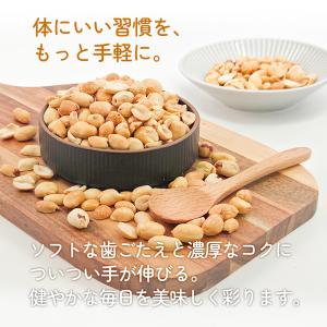 アメリカ産 ハイオレイック ピーナッツ 1kg...の詳細画像3