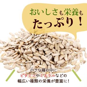 ローストひまわりの種 800g 産地直輸入 素...の詳細画像3